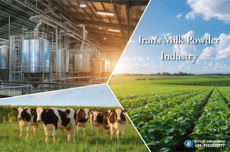 كل ما يتعلق بإنتاج وتصدير وشراء الحليب المجفف المصدر من إيران