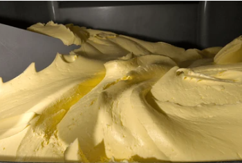 churnin cream into butter-chalta farm - shameh shir Co