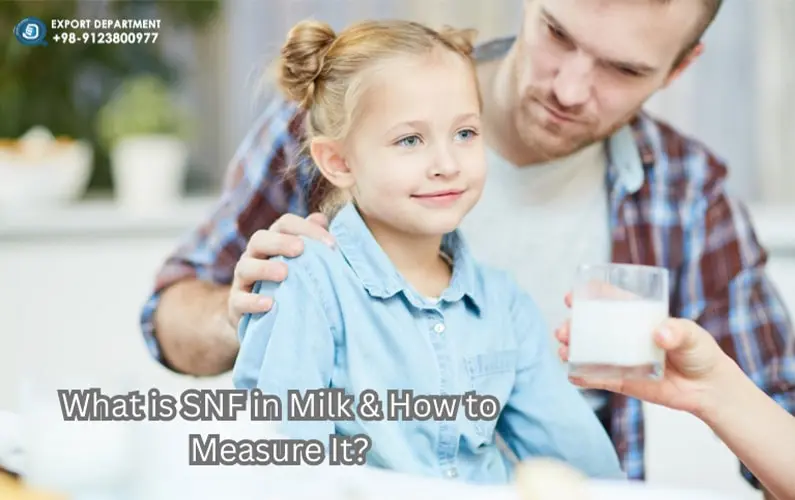What is SNF in Milk? A Guide to Measuring Solids-Not-Fat