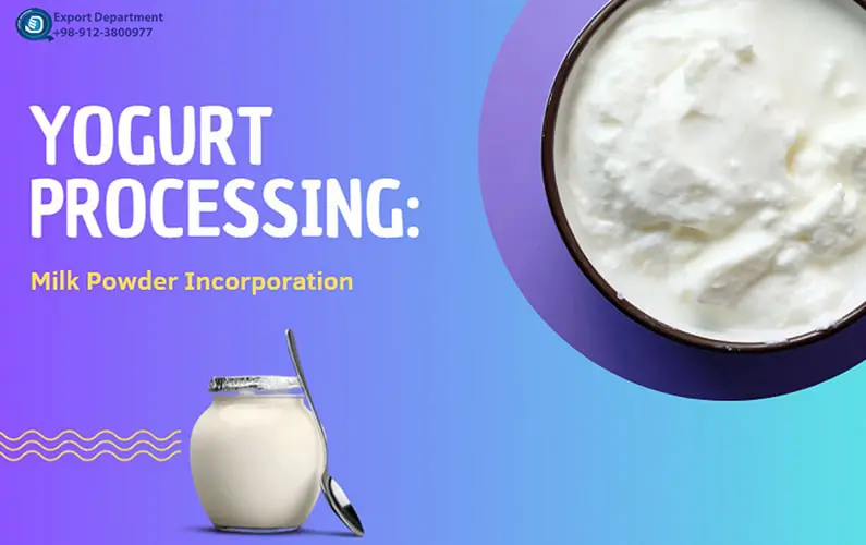 Yogurt Manufacturing Process and the Application of Milk Powder