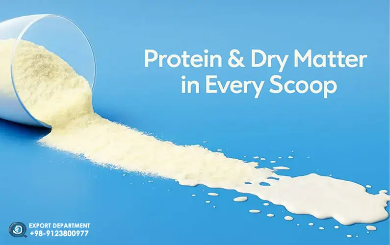A Complete Guide to the Amount of Protein and Dry Matter in Milk Powder