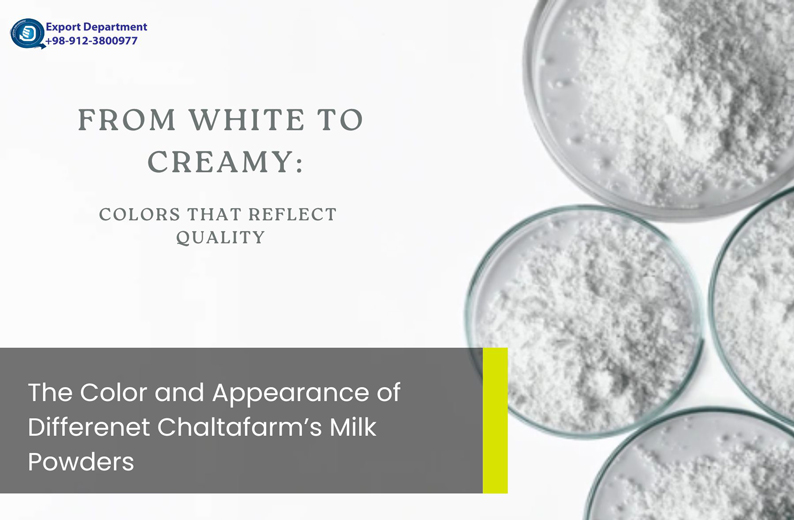 Discover the Color and Appearance of Different Milk-Derived Powders