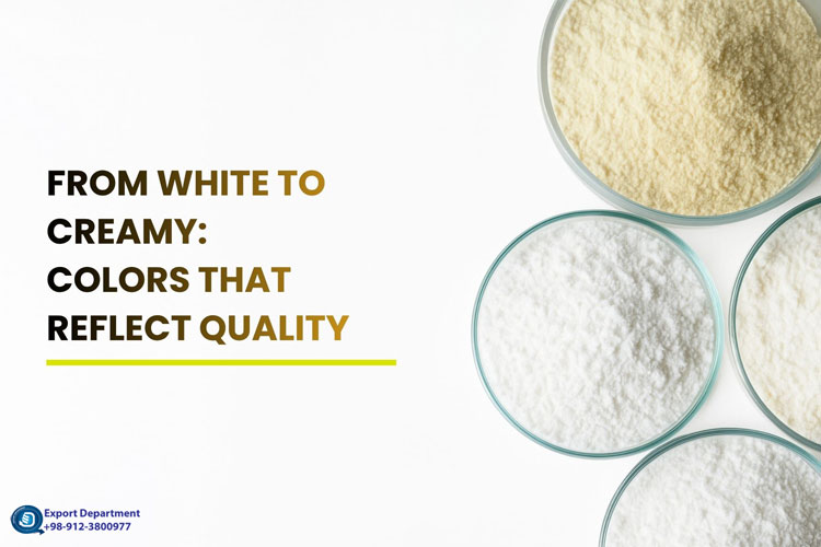 Discover the Color and Appearance of Different Milk-Derived Powders
