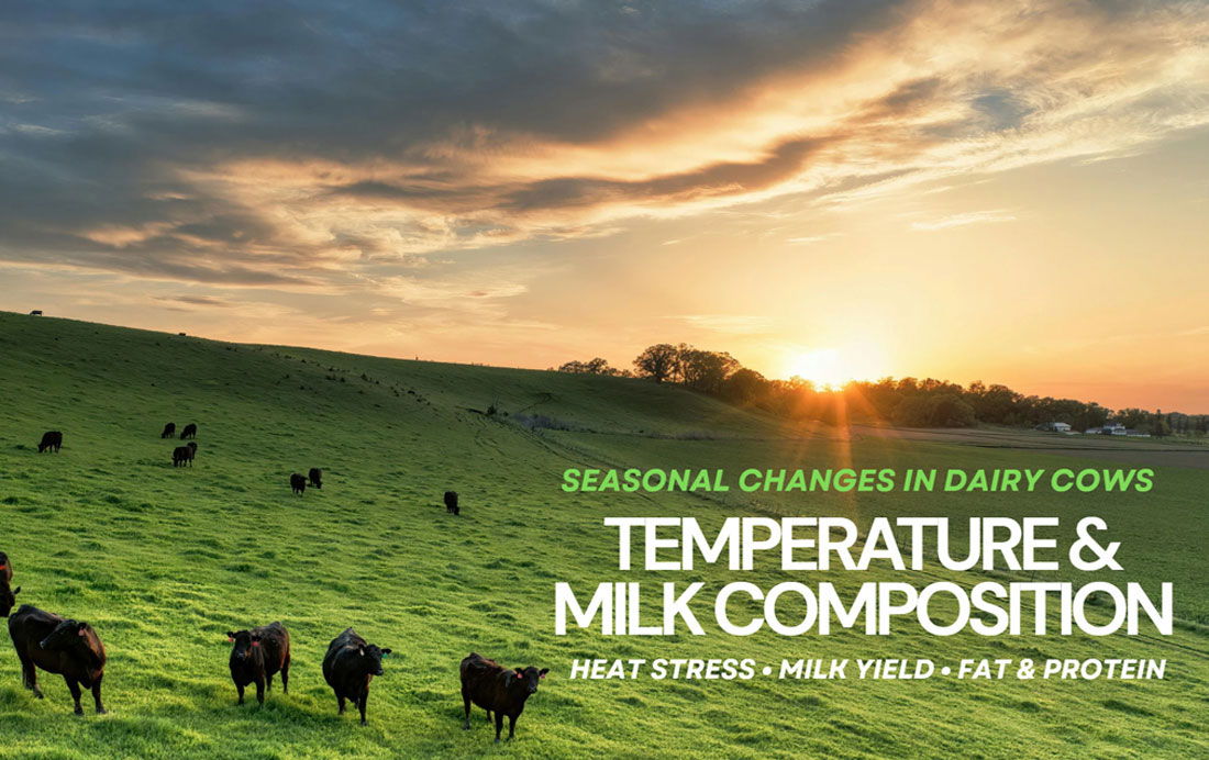 Seasonal and Temperature-Related Changes in Milk Production and Composition in Holstein Cows