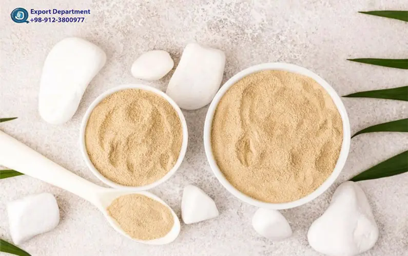 Types of Whey Protein Powder