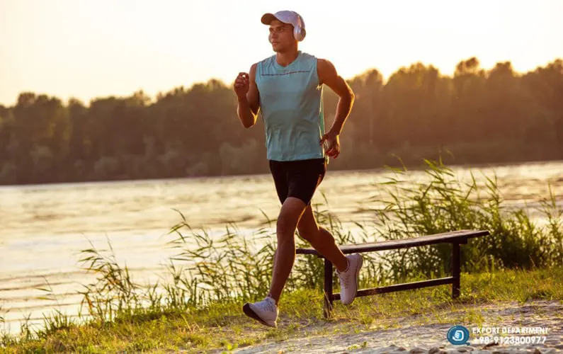 A Comparative Analysis of Whey Protein Concentrate, Sweet Whey Powder, and Milk Protein Concentrate