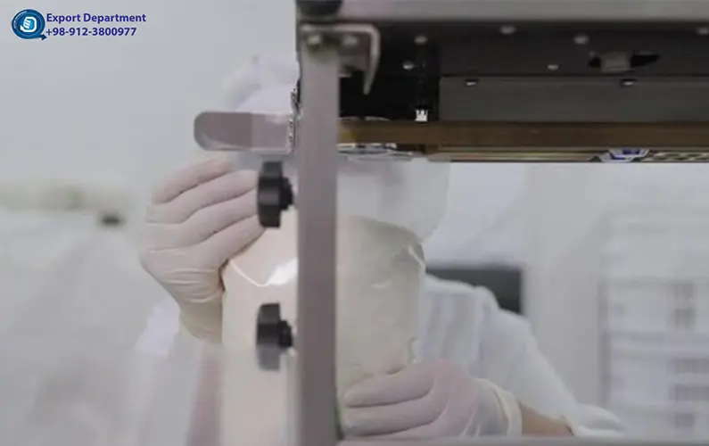 Preventing Oxidation in Whole Milk Powder: Comparative Analysis of Vacuum Packaging and Modified Atmosphere Packaging