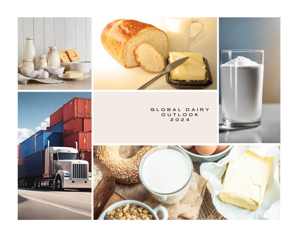 Navigating Global Dairy and Milk Powder Export Markets