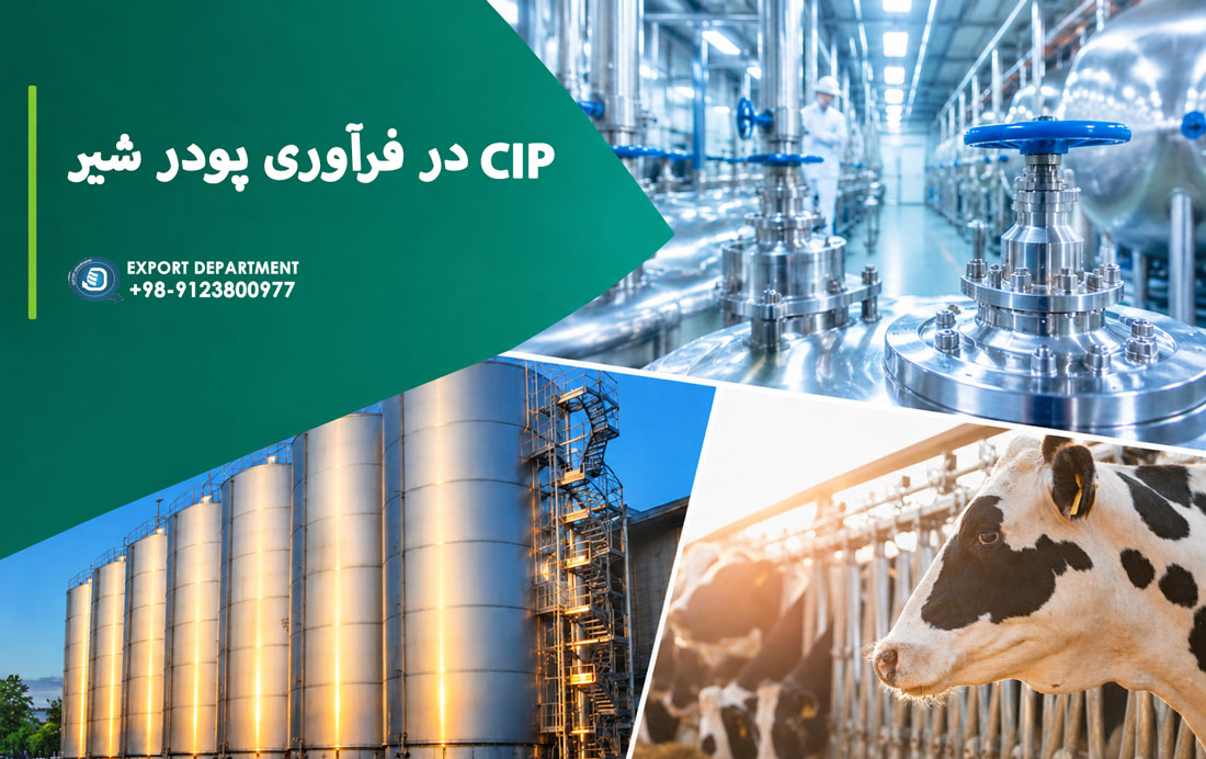 CIP در فرآوری پودر شیر: روش‌های نظافت، بهداشت و کنترل آلودگی