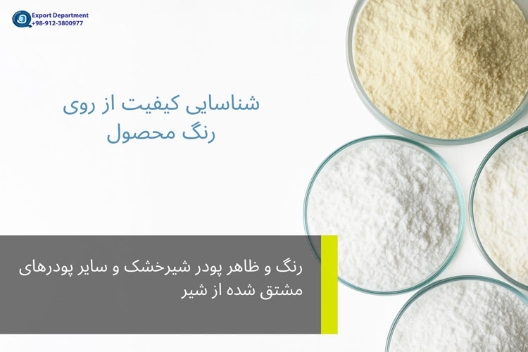 با ویژگی‌های رنگ و ظاهر شیر خشک و سایر پودرهای مشتق شده از شیر آشنا شوید